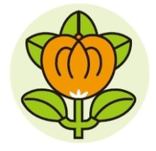 たちばなの由来 たちばなの由来